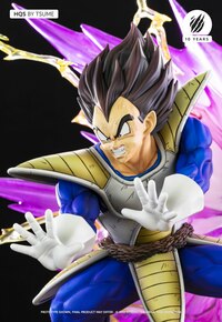 Vegeta - Galick Gun - Tsume HQS (3).jpg