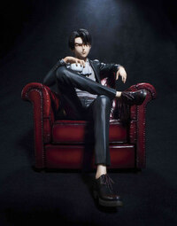 Levi - Mens Hdge No. 3 - 5