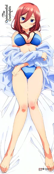 Miku_Dakimakura_Front.webp