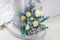 New Jersey - Snow Bride Love - Apex Innovation (5)