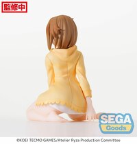 Reisalin Stout - PM Perching - Sega (8)