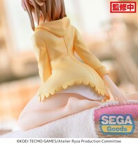 Reisalin Stout - PM Perching - Sega (5)