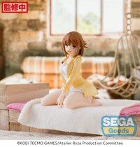 Reisalin Stout - PM Perching - Sega (2)