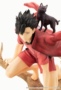 Tetsuro Kuroo - Cats - ARTFX J - Kotobukiya (7)