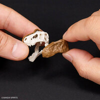 Tyrannosaurus - Plannosaurus - Model Kit - Bandai Spirits (1)
