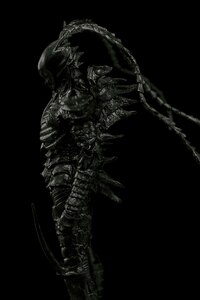 Kudou Denji & Nayuta Set - Black Gaunas Actionfiguren - T.E.S.T. (18)