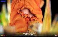 Super Saiyajin Son Goku - Dragon Ball Z - Tsume (1)