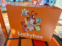 Lucky Box - Fukubako - 50 Euro (3)