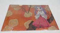 Lucky Star - Kagami Miko Clearfile - 2