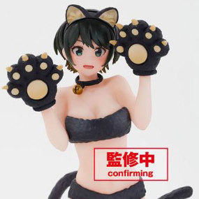 Ruka Sarashina - Coreful Figure - Taito - Profil