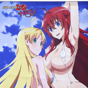 Rias und Asia (B) - High School DxD Wallscroll - Sakami (60 x 86 cm) - Profil