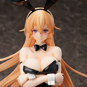 Erina Nakiri - 1/4 B-Style Bunny - Bare Leg - FREEing - Profil
