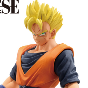 Son Gohan (Future) - Dragon Ball Z (Dueling to the Future) - Ichibansho - Profil