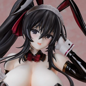 Fubuki - 1/4 B-Style Bunny - Freeing - Profil