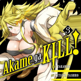 EN Akame ga Kill! - Yen Press - Vol. 3 englische Ausgabe - Profil