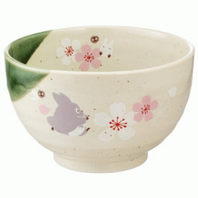 Totoro - Mein Nachbar Totoro - Schüssel - Skater - Profil