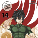 Fairy Tail Massiv - Carlsen - Band 14