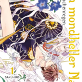 Drachenregen - In mondheller Nacht - Carlsen - Band 01