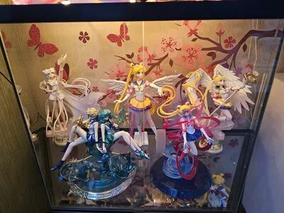 Wir gehören zusammen 