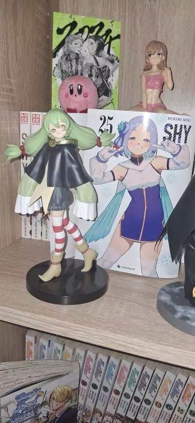 Meine beiden Shy fav character beieinander. Ich warte schon auf die Figur, wenn der Anime weiter geht 