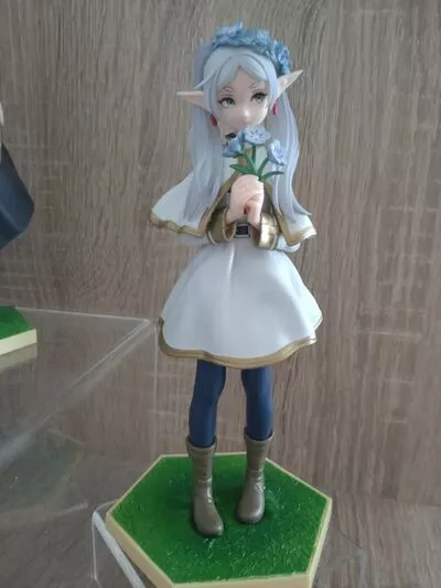 Frieren Flower Garden 